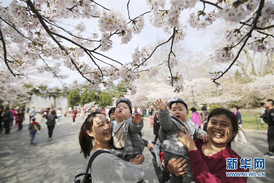 #（环境）（5）花开在四月