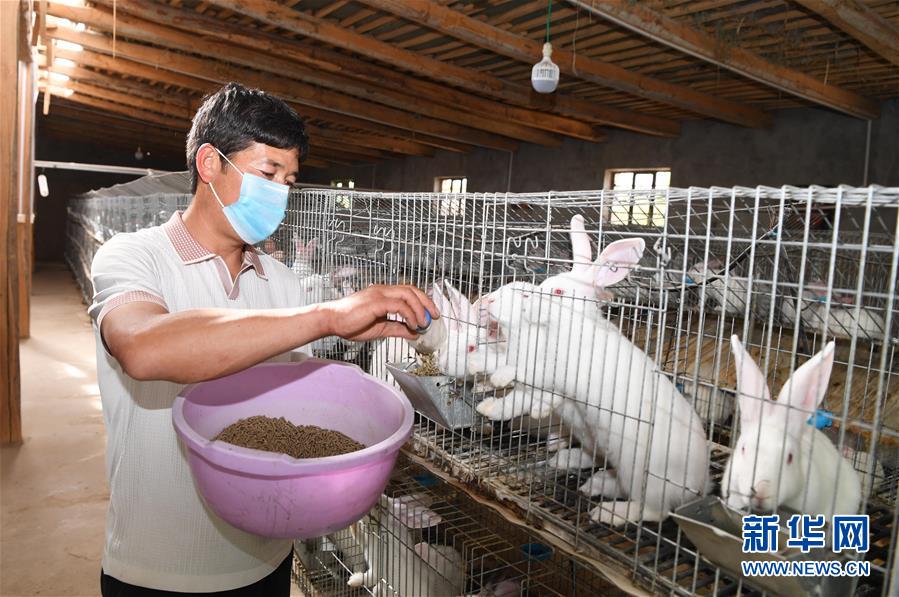 （新华全媒头条·图文互动）（14）新天地 新儿女 新奇迹——脱贫攻坚绘就新疆新图景