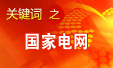 刘振亚：国家电网2020年前在国外投入300亿-500亿美元